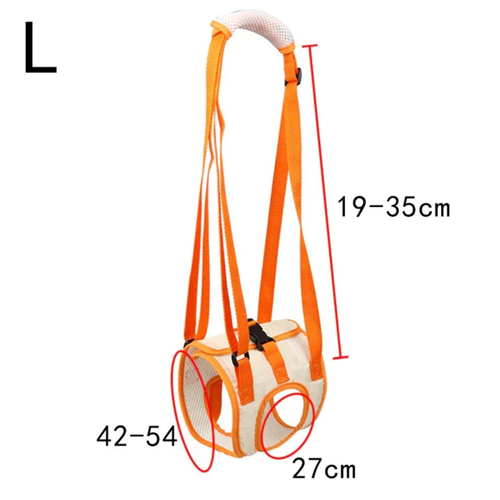 Ergonomic lifting harness for dogs hind legs Azura