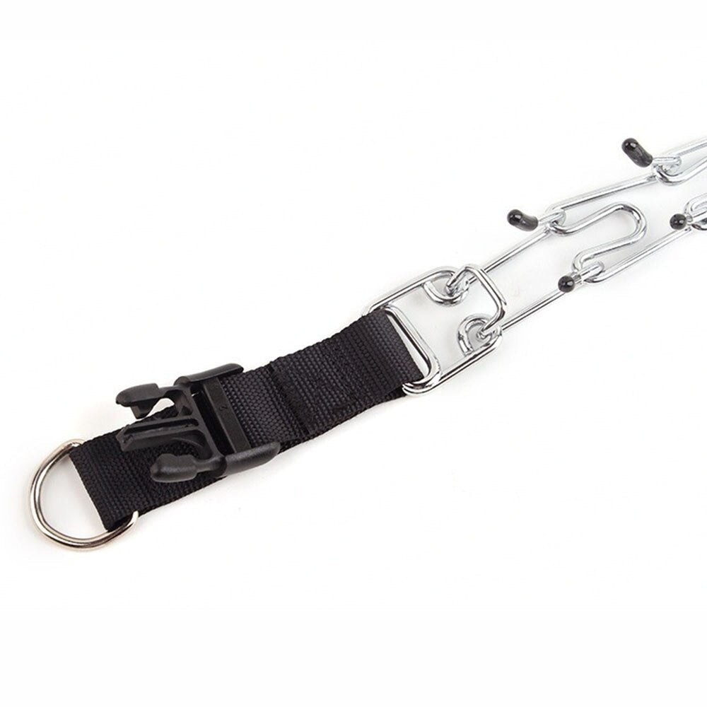 Azura | Dog Pincher Collar - Stylish C