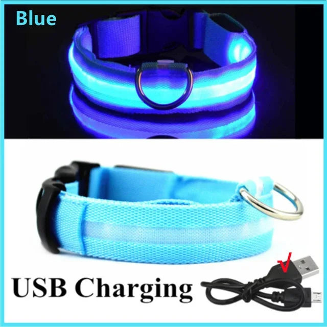 Azura | LUXPETS GlowSafe LED Dog Collar | Illuminated & Rechargeable | Adjustable & Waterproof | Anti-Loss at Night