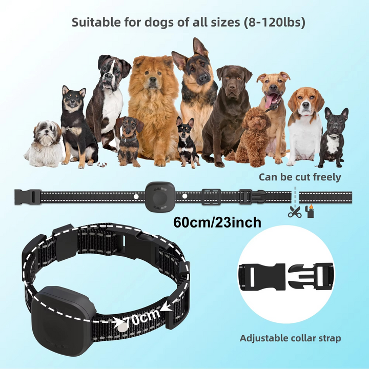 Azura | Ultimate Safety 1,574.8 feet Wireless Dog Fence System with Rechargeable, Waterproof Collar