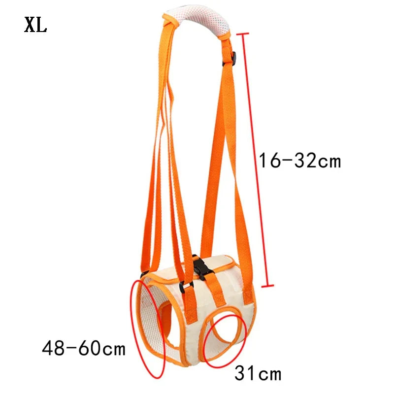 Ergonomic lifting harness for dogs hind legs Azura