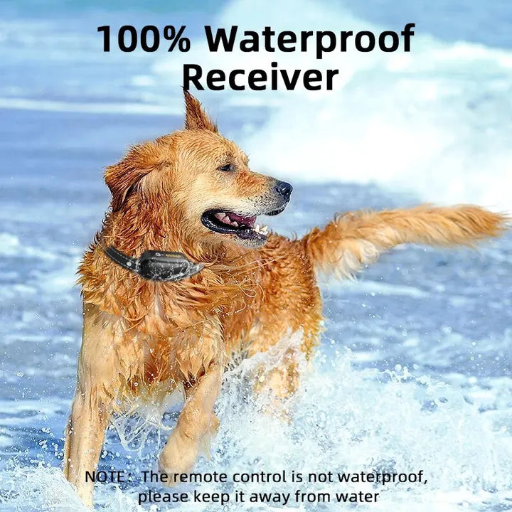Azura | ProTrain – Rechargeable Waterproof Dog Training Collar with Remote