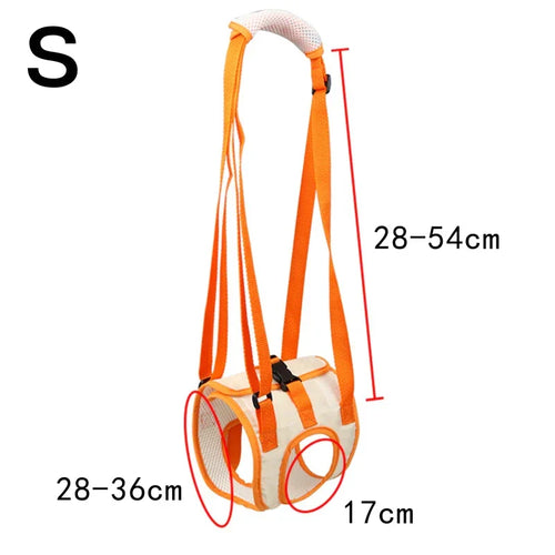 Ergonomic lifting harness for dogs hind legs Azura