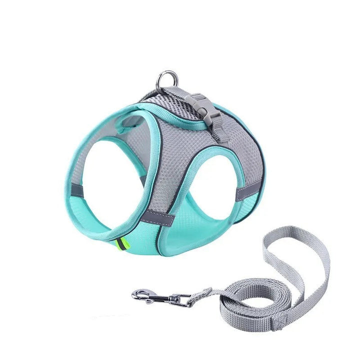 Adventurous Cat Harness with Leash – Adjustable and Reflective | Azura