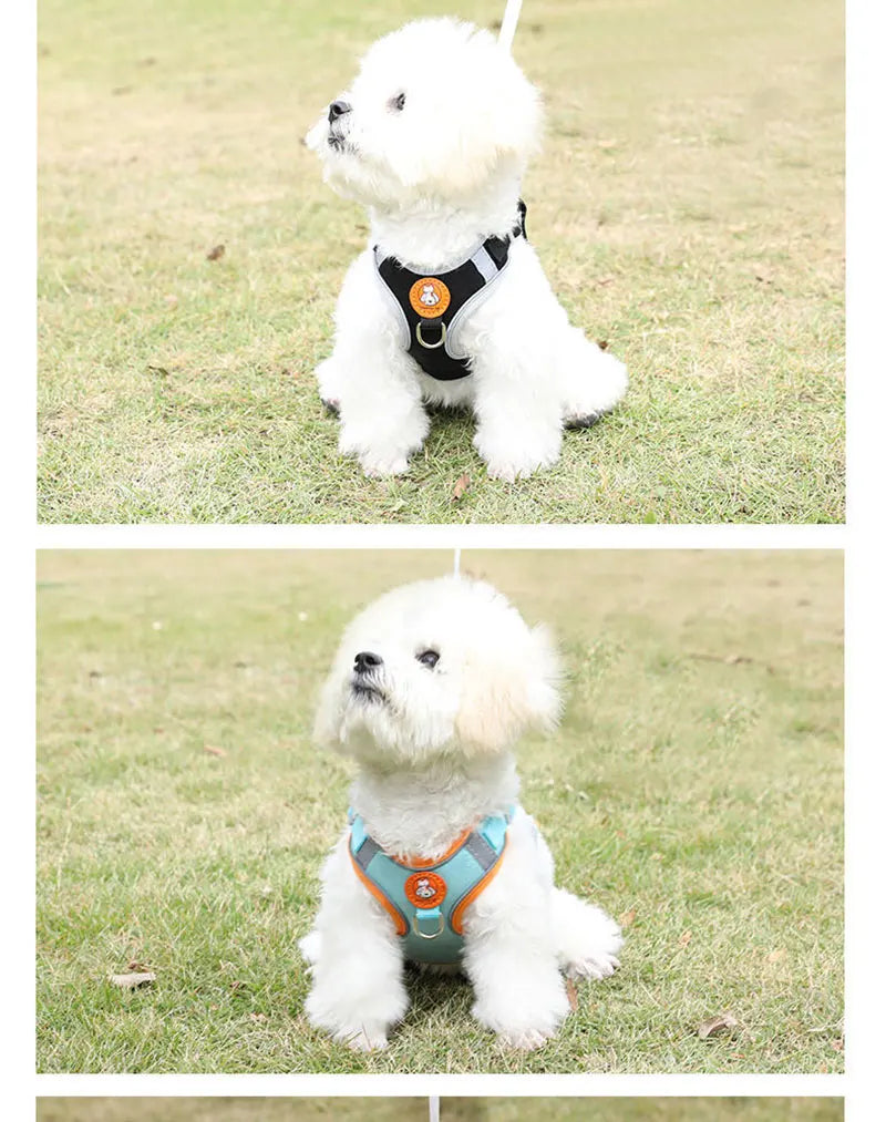 Breathable dog harness adjustable & comfortable Azura