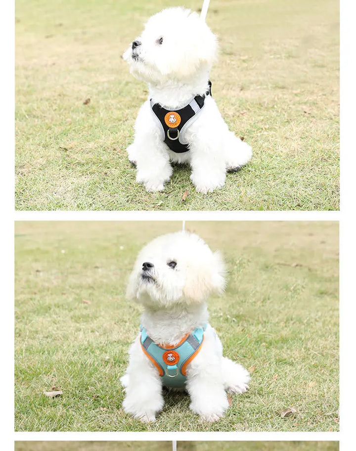 Breathable dog harness adjustable & comfortable Azura