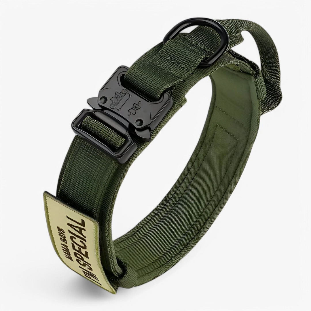 Azura | OutdoorHeld Dog Collar – For active dogs with endurance