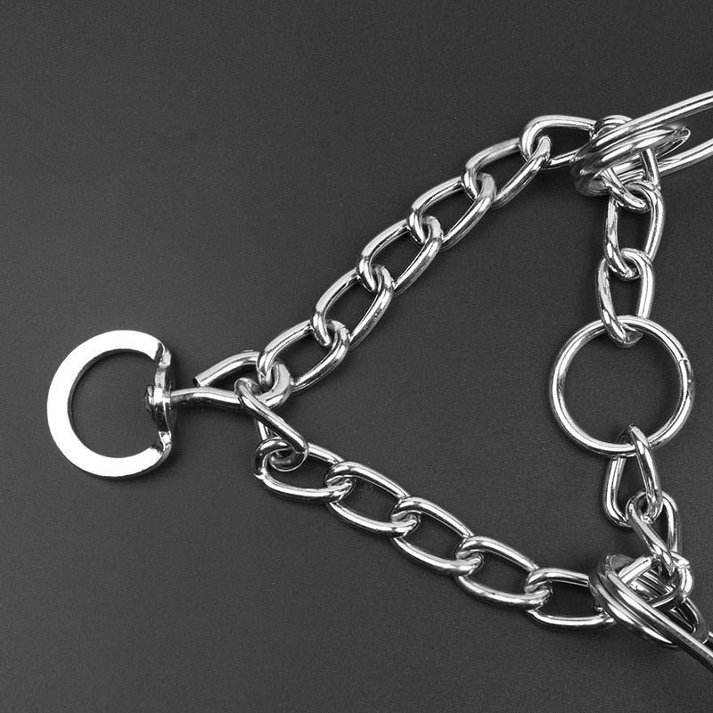 Azura | Dog Pincher Collar - Stylish B