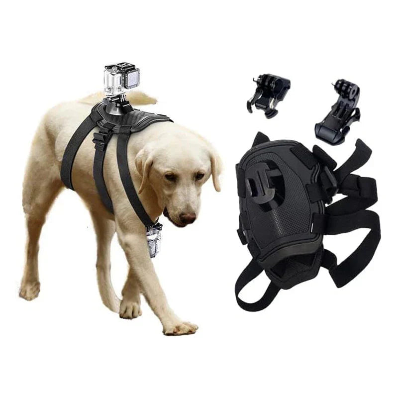 Action-Cam Dog Harness with 360° Perspective Azura