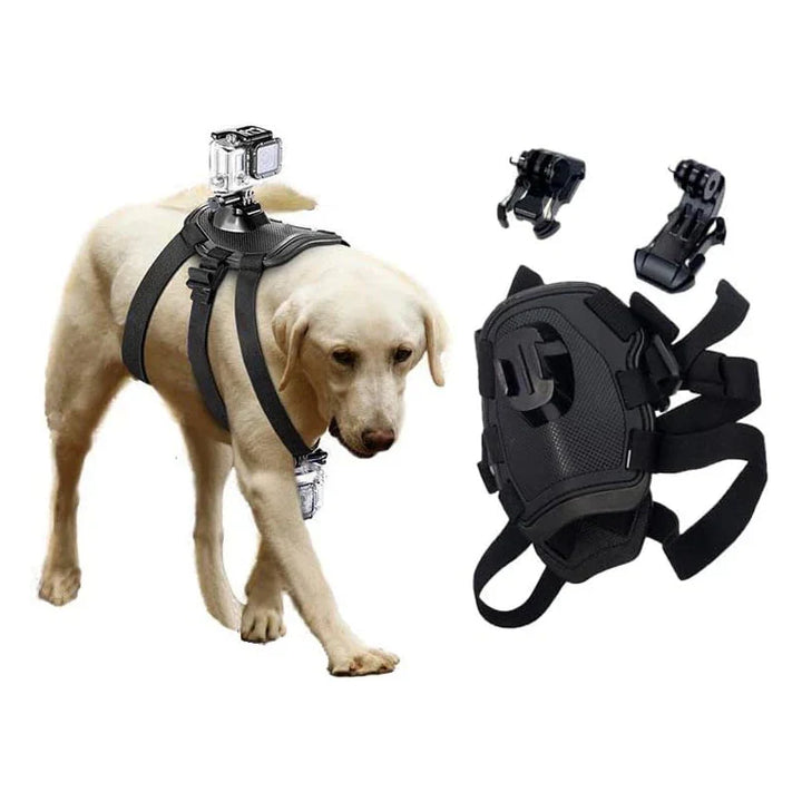 Action-Cam Dog Harness with 360° Perspective Azura