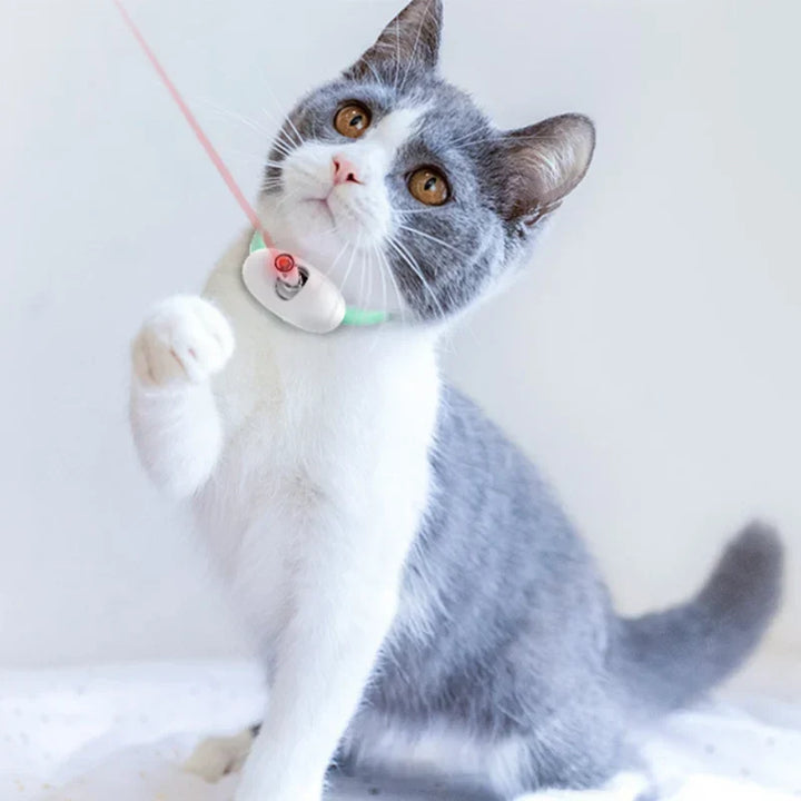 Freesthetic Laser Collar for Cats Azura