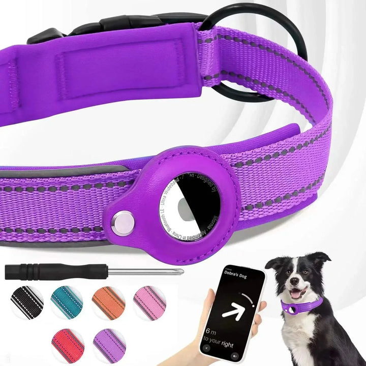Azura | LEAZO - AirTag Dog Collar