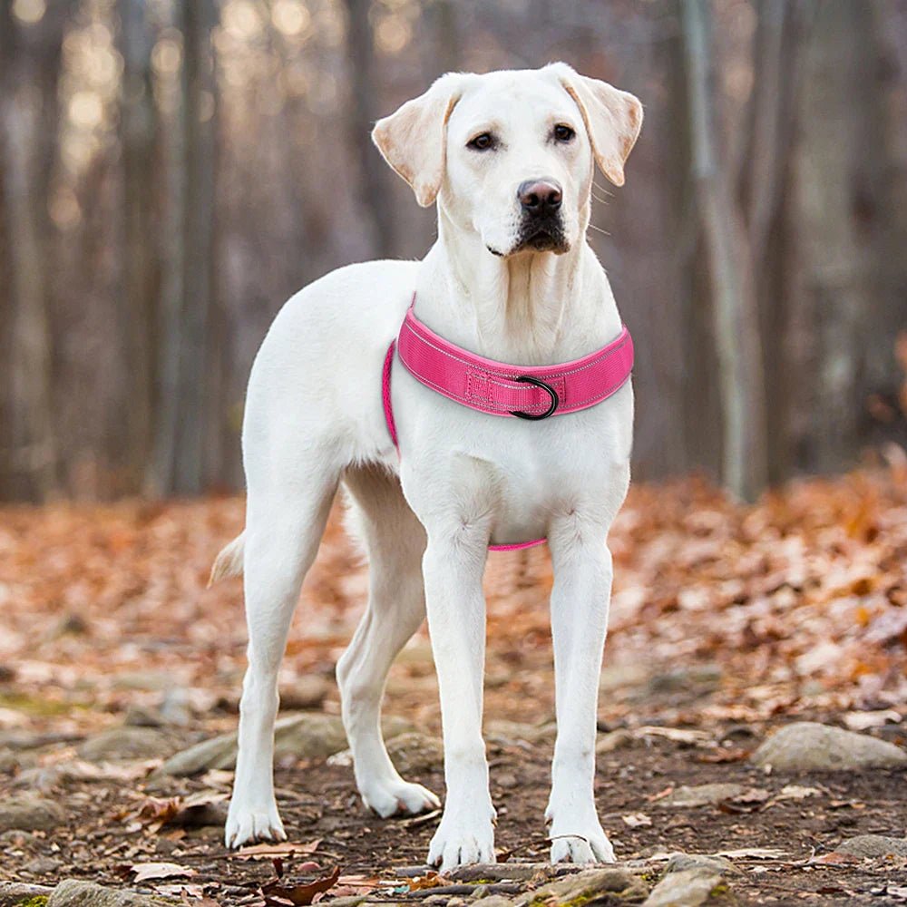 Azura | Adjustable Reflective Dog Harness with Handle for All Dog Breeds