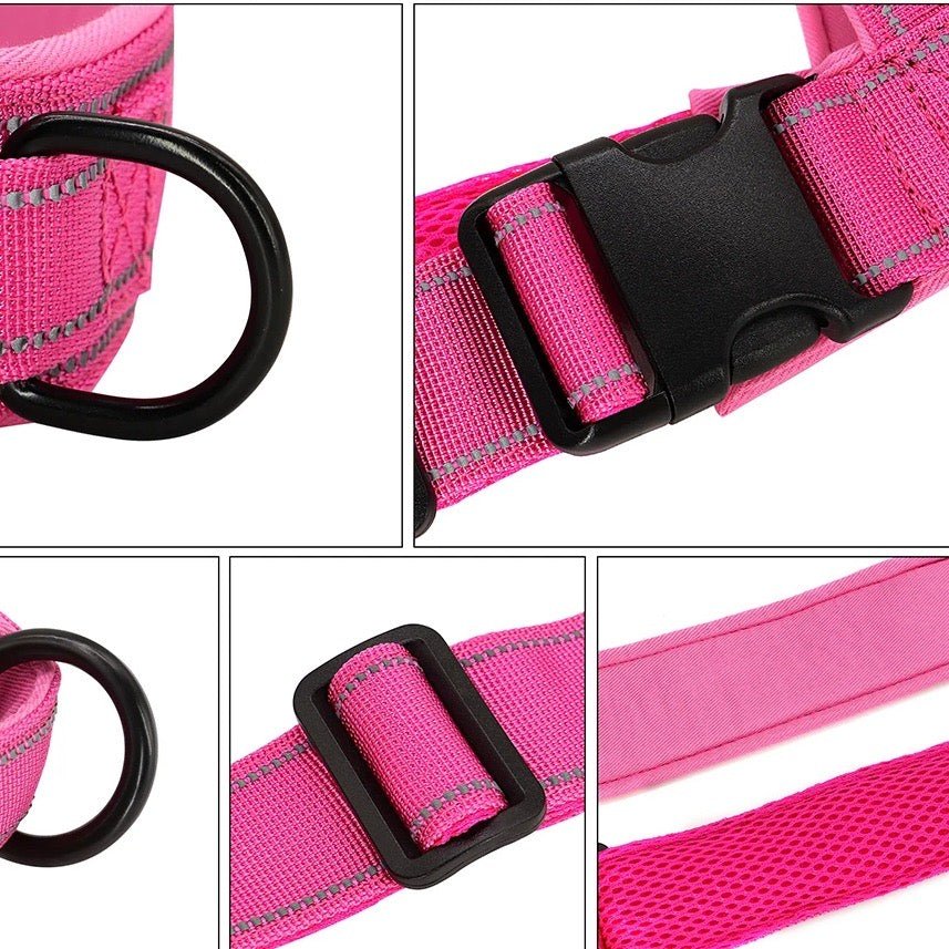 Azura | Adjustable Reflective Dog Harness with Handle for All Dog Breeds