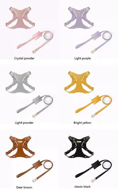 Adjustable Leather Dog Harness with Custom Engraving Azura