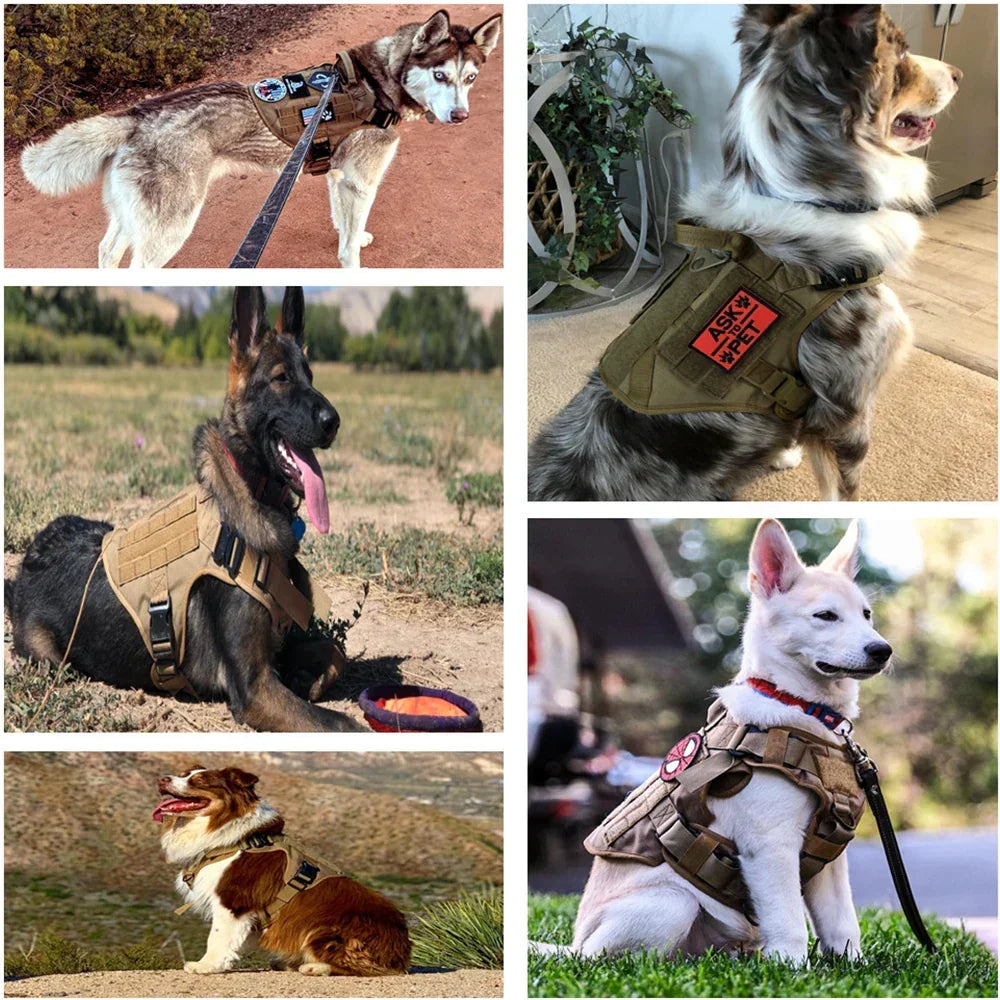 Azura | Guardpaw Tactical Dog Harness with Handle - Durable, Adjustable, Leash Set