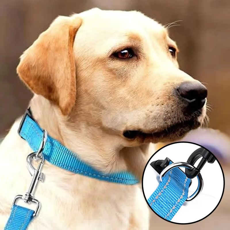 Azura | Reflective Comfort Collar for Dogs – Soft, Adjustable, and Breathable