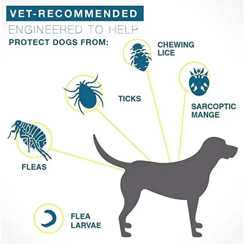 Azura | FLASHIELD COLLAR – Herbal flea & tick protection collar for dogs & cats