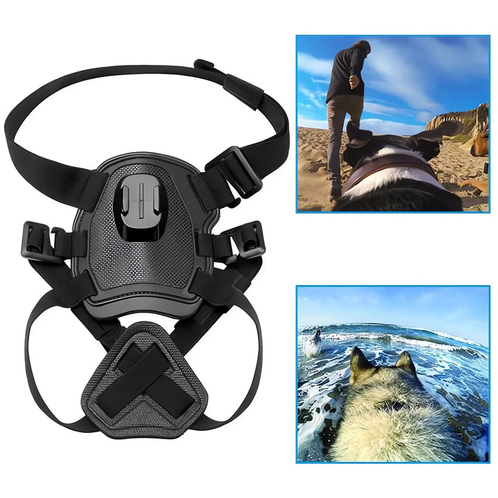 Action-Cam Dog Harness with 360° Perspective Azura