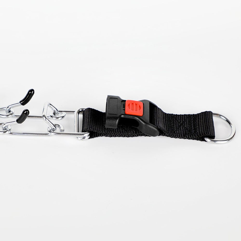 Azura | Dog Pincher Collar - Stylish C