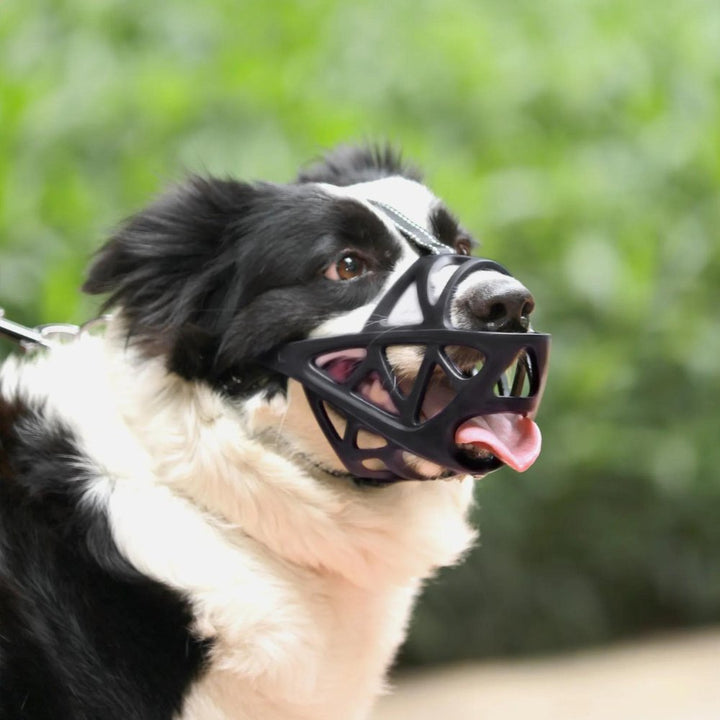 SafeBark Dog Muzzle – Effective Anti-Bite and Anti-Bark Solution, Breathable and Comfortable | Azura