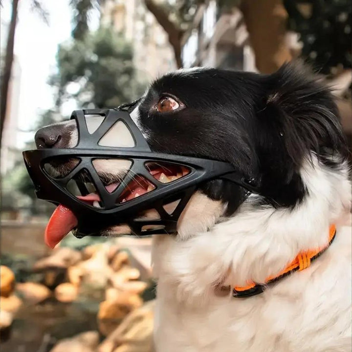 SafeBark Dog Muzzle – Effective Anti-Bite and Anti-Bark Solution, Breathable and Comfortable | Azura