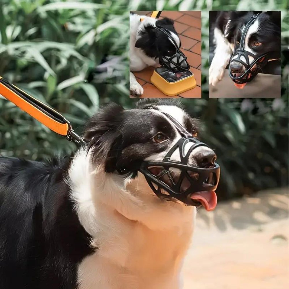 SafeBark Dog Muzzle – Effective Anti-Bite and Anti-Bark Solution, Breathable and Comfortable | Azura