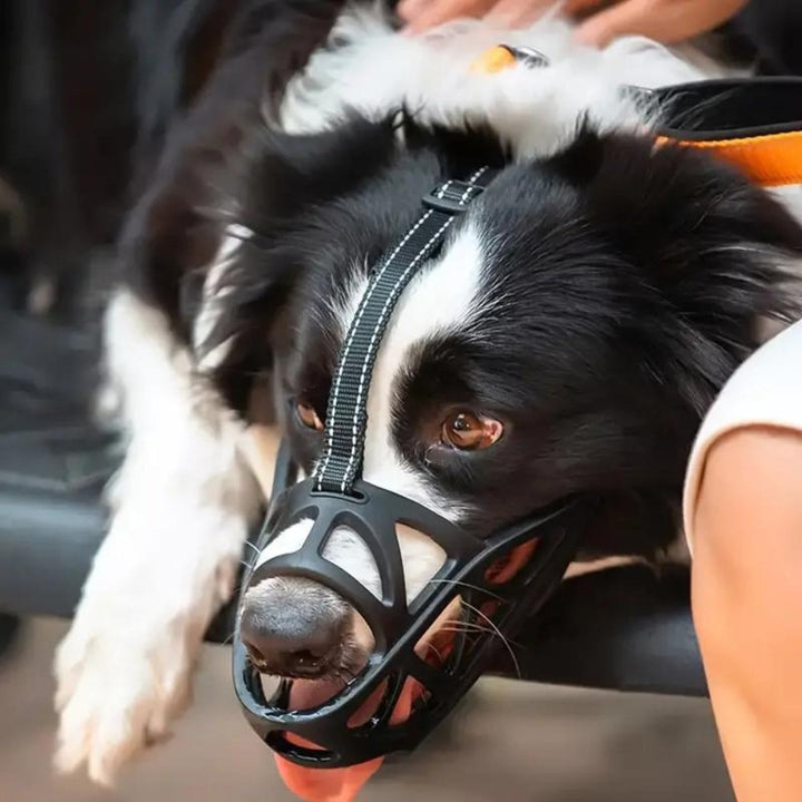 SafeBark Dog Muzzle – Effective Anti-Bite and Anti-Bark Solution, Breathable and Comfortable | Azura