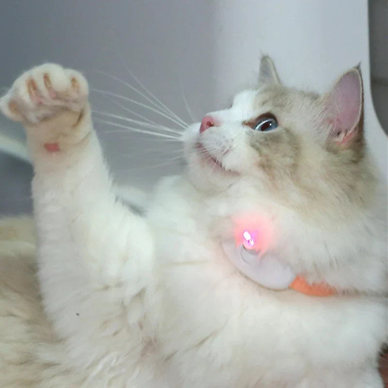 Freesthetic Laser Collar for Cats Azura