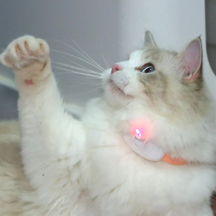 Freesthetic Laser Collar for Cats Azura