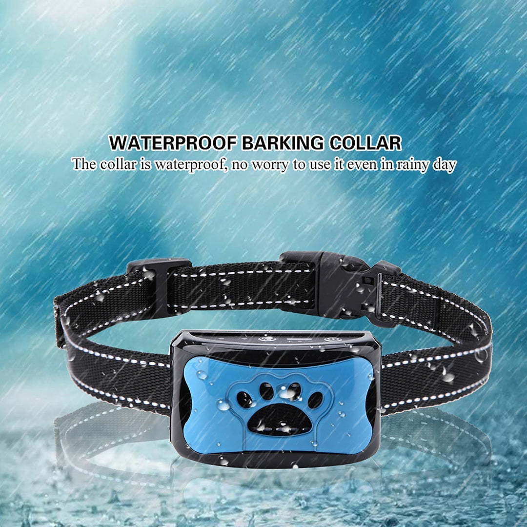 Azura | Painless Anti-Bark Collar – Vibrations & Ultrasound for Dogs