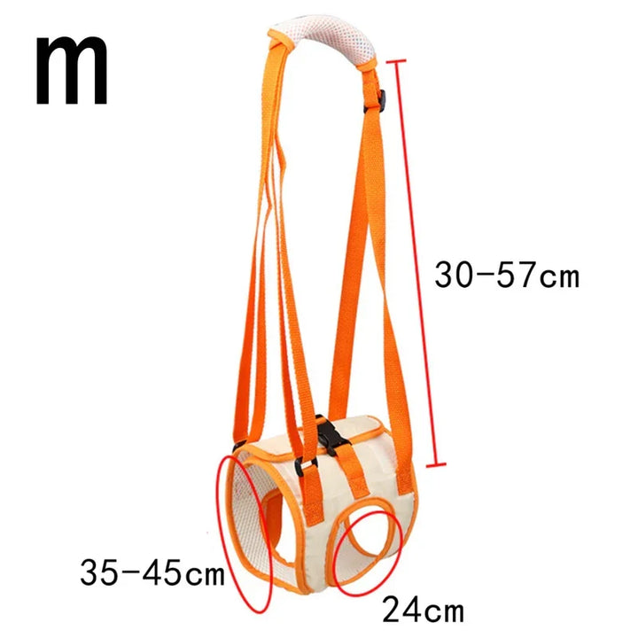 Ergonomic lifting harness for dogs hind legs Azura
