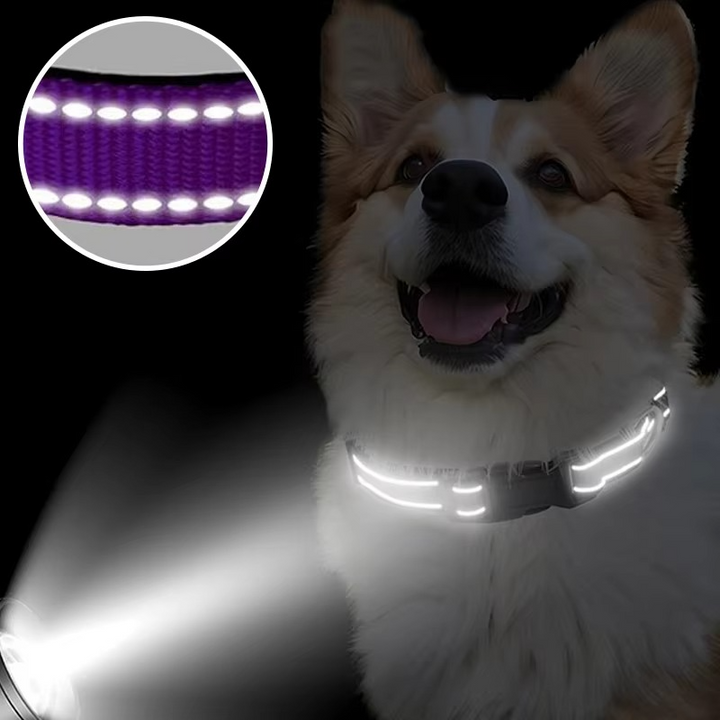 Azura | Reflective Comfort Collar for Dogs – Soft, Adjustable, and Breathable