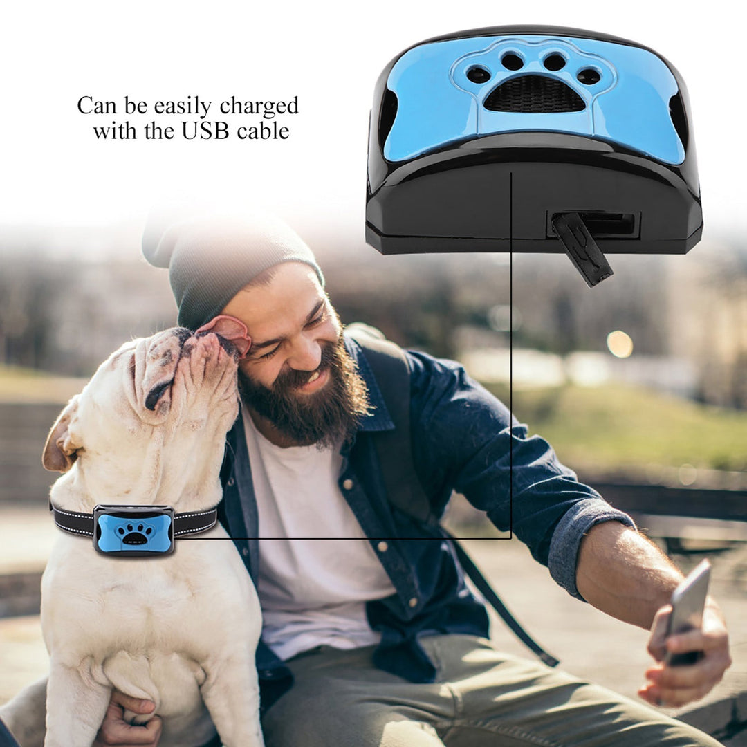 Azura | Painless Anti-Bark Collar – Vibrations & Ultrasound for Dogs
