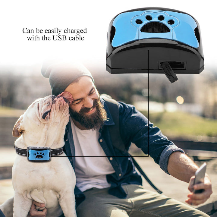 Azura | Painless Anti-Bark Collar – Vibrations & Ultrasound for Dogs