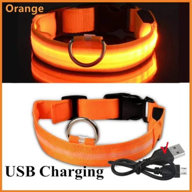 Azura | LUXPETS GlowSafe LED Dog Collar | Illuminated & Rechargeable | Adjustable & Waterproof | Anti-Loss at Night