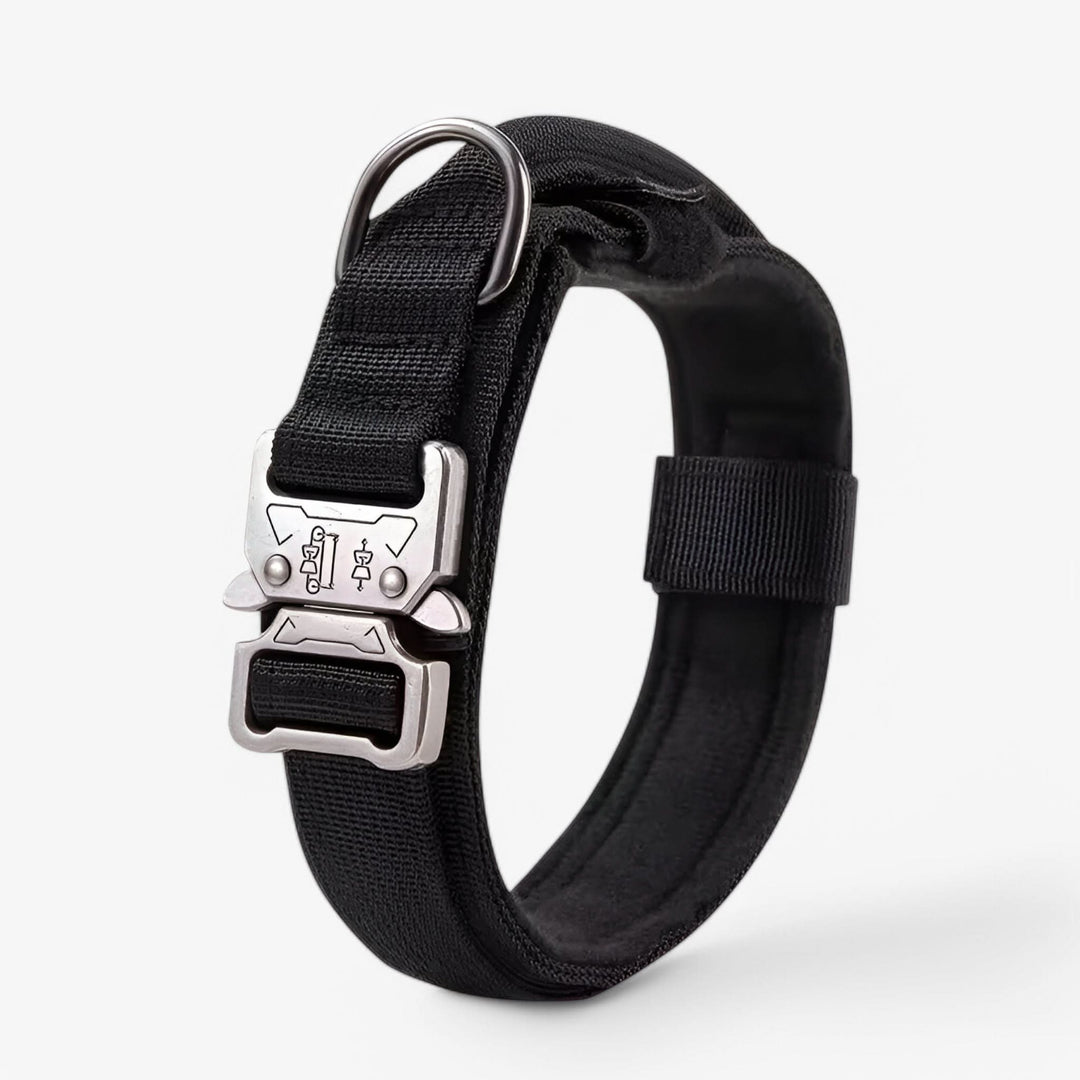 Azura | OutdoorHeld Dog Collar – For active dogs with endurance
