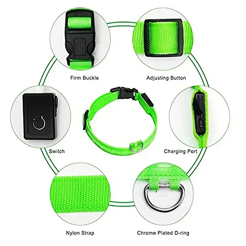 Azura | LUXPETS GlowSafe LED Dog Collar | Illuminated & Rechargeable | Adjustable & Waterproof | Anti-Loss at Night