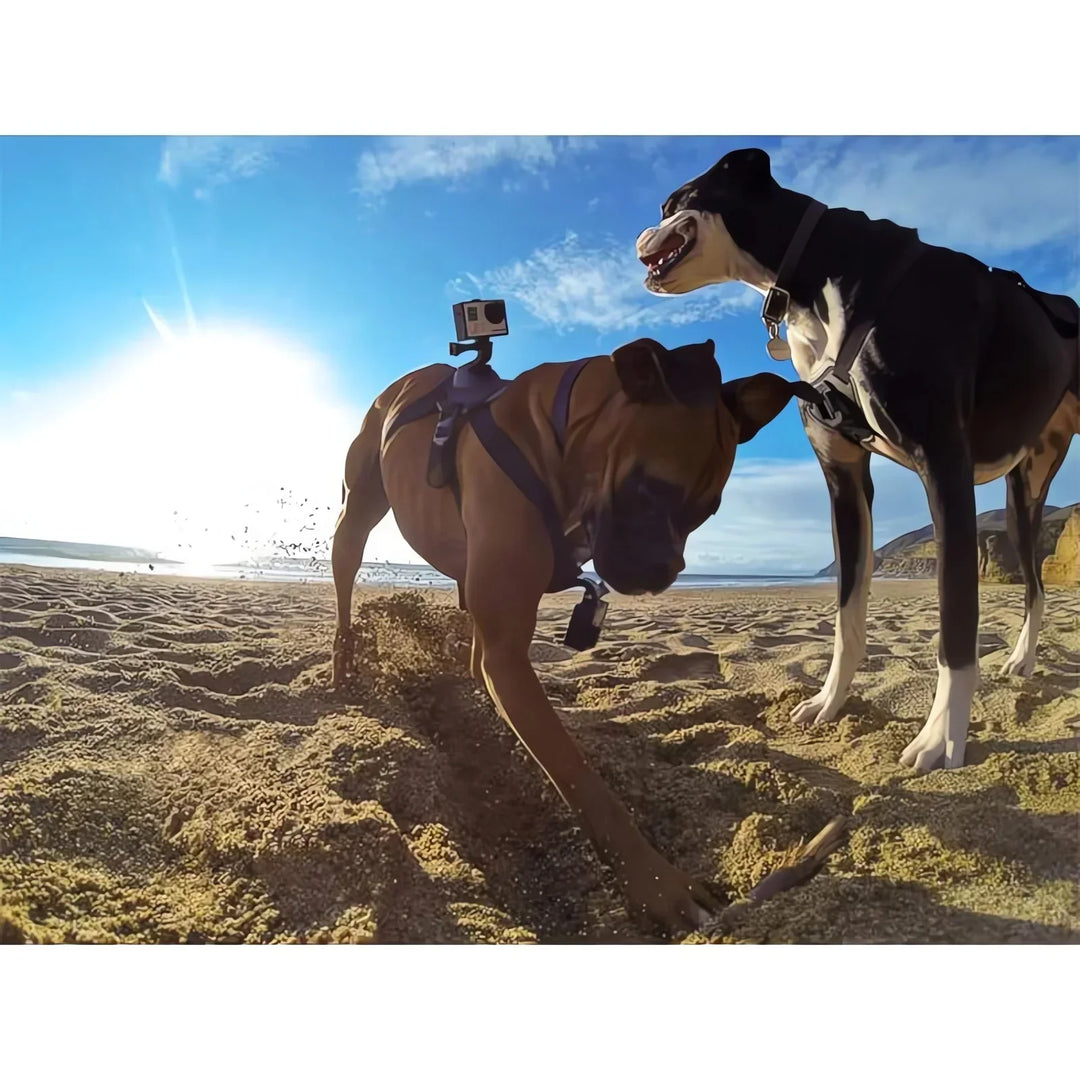 Action-Cam Dog Harness with 360° Perspective Azura