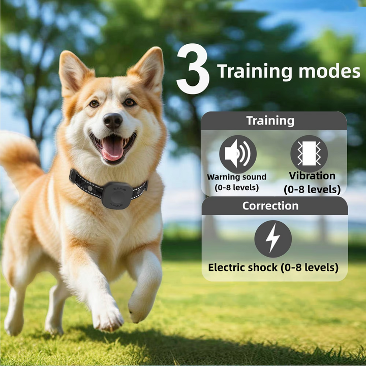 Azura | Ultimate Safety 1,574.8 feet Wireless Dog Fence System with Rechargeable, Waterproof Collar