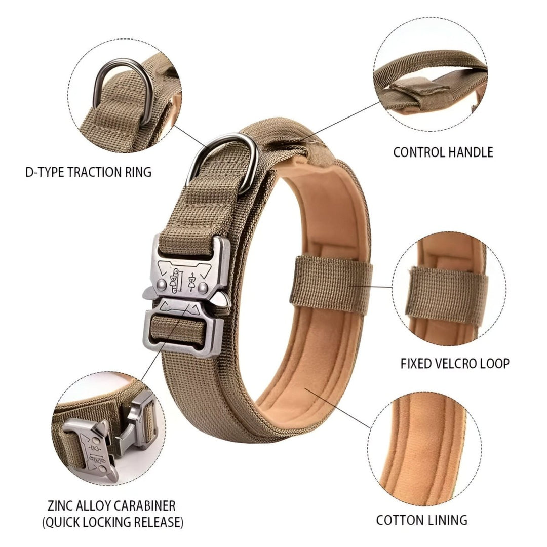Azura | Durable & Adjustable Collar for Training & Everyday Use