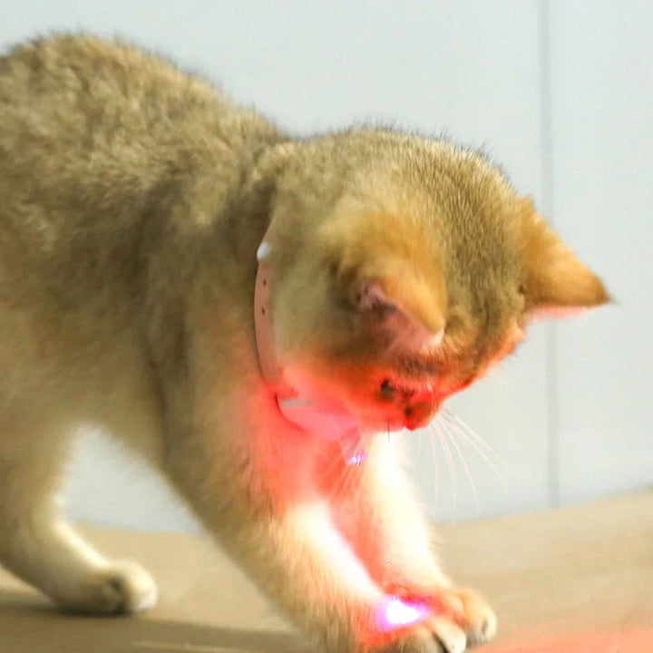 Freesthetic Laser Collar for Cats Azura