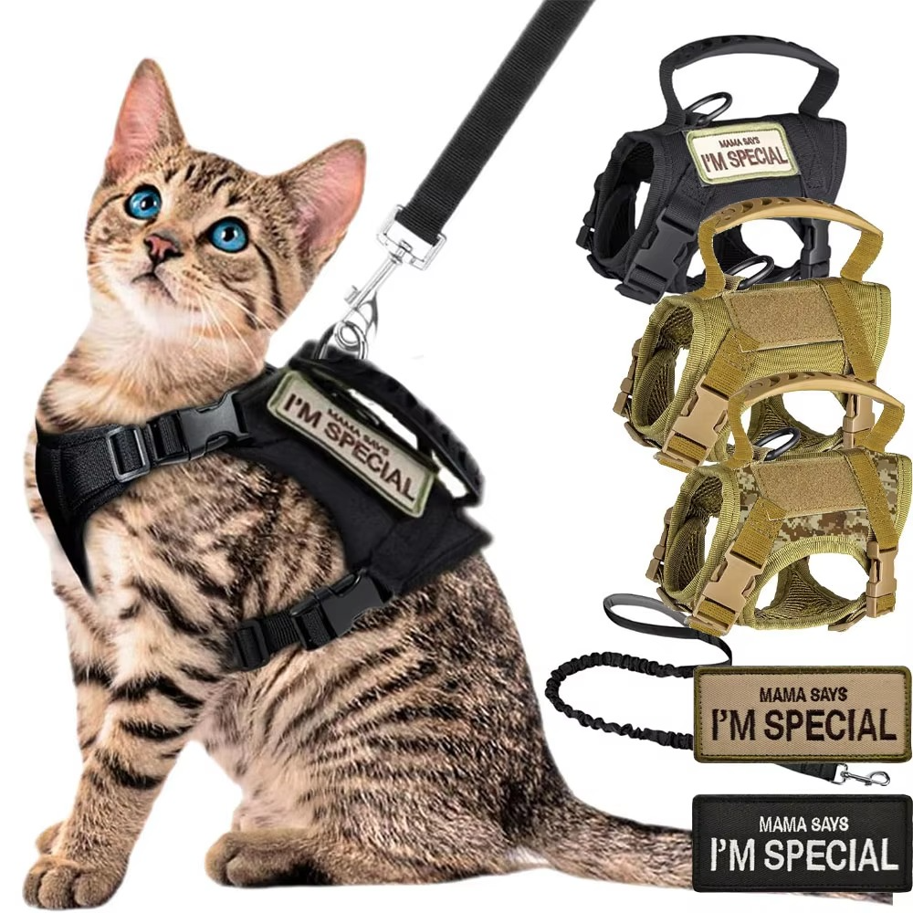 Azura | Adjustable Tactical Pet Harness with Control Handle for Cats and Large Dogs