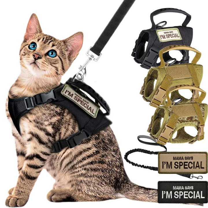 Azura | Adjustable Tactical Pet Harness with Control Handle for Cats and Large Dogs