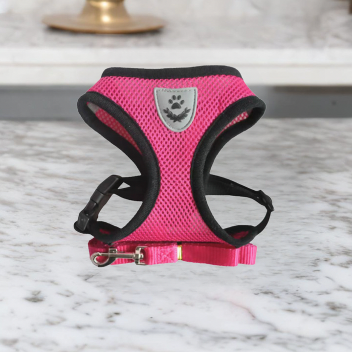 Azura | Comfortable Cat Harness and Leash Set, Adjustable Breathable Design for Safe Outdoor Adventures – Best Cat Harness for Kittens and Cats