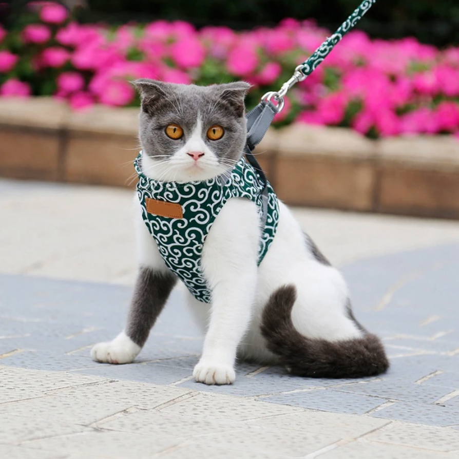 Azura | Stylish Cat Harness with Matching Leash - Comfortable and Easy to Wear, Adjustable Fit for Cats and Kittens