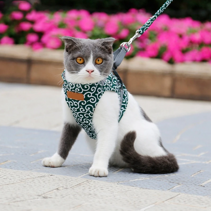 Azura | Stylish Cat Harness with Matching Leash - Comfortable and Easy to Wear, Adjustable Fit for Cats and Kittens
