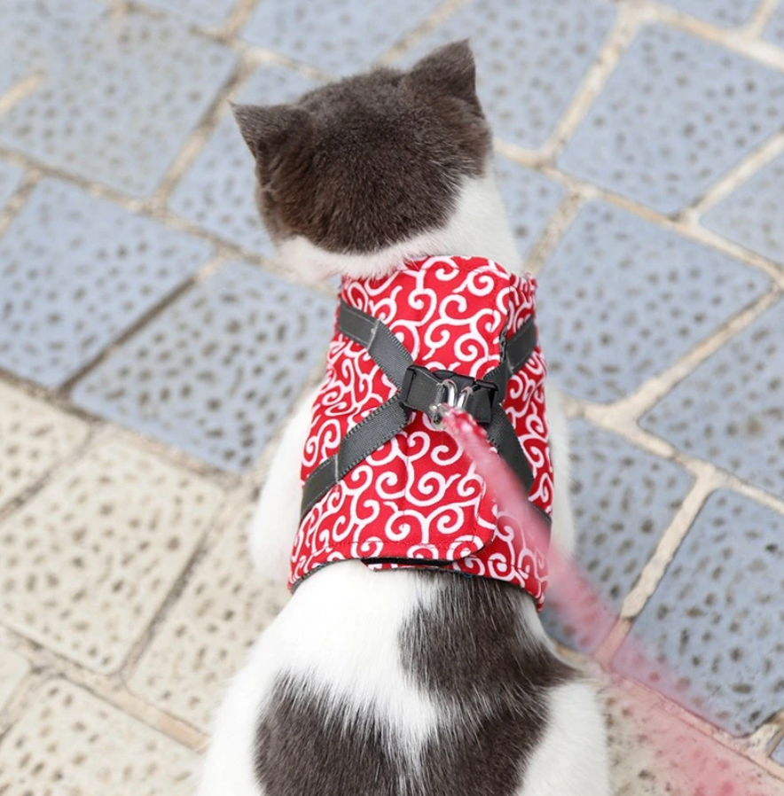 Azura | Stylish Cat Harness with Matching Leash - Comfortable and Easy to Wear, Adjustable Fit for Cats and Kittens