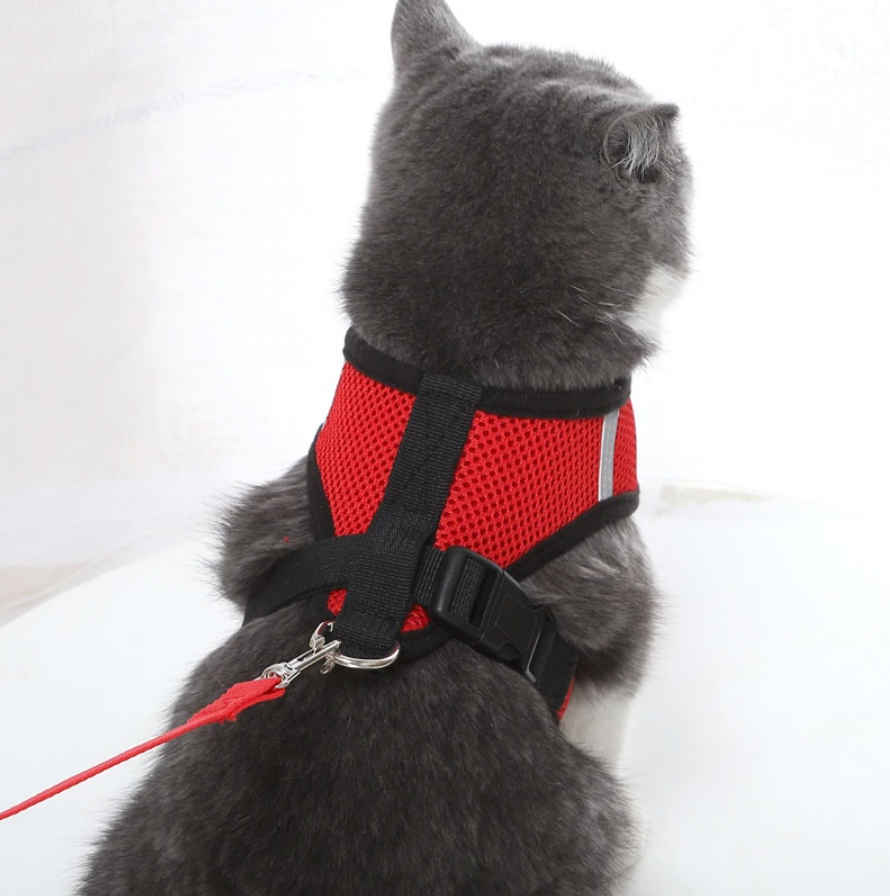 Azura | Comfortable Cat Harness and Leash Set, Adjustable Breathable Design for Safe Outdoor Adventures – Best Cat Harness for Kittens and Cats