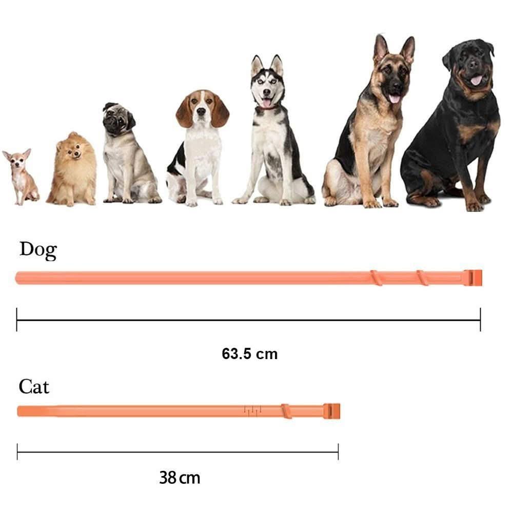 Azura | Flea & Tick Protection Collar for Dogs & Cats